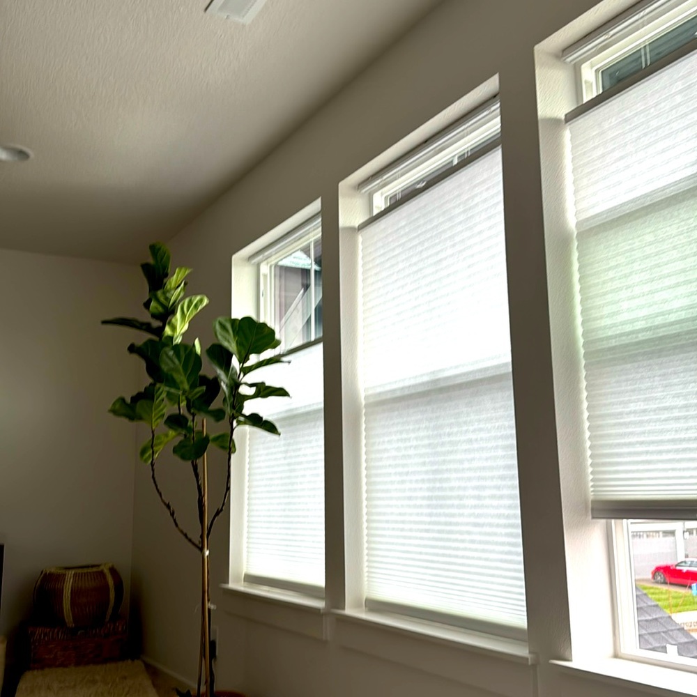 ✨✨CLOSET CLOSING✨✨